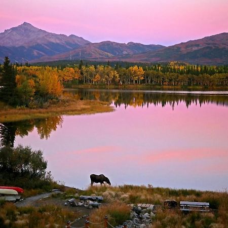 Denali Lakeview Inn 힐리 외부 사진