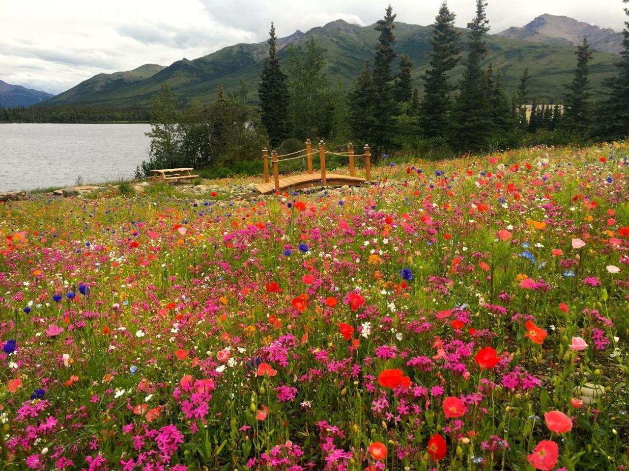 Denali Lakeview Inn 힐리 외부 사진